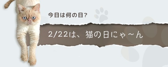 CAT DAY 猫の日