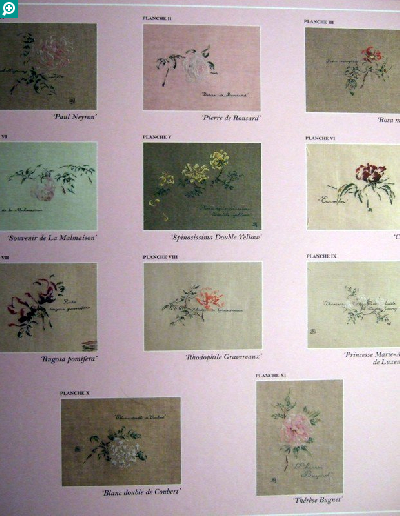 洋雑誌、洋書、輸入手芸のマガジンマート - ROSES AU POINT DE CROIX